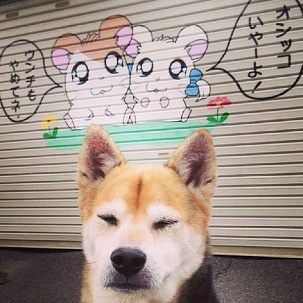 开云体育官网-太阳强行终结活塞，米切尔化身关键先生杀死悬念